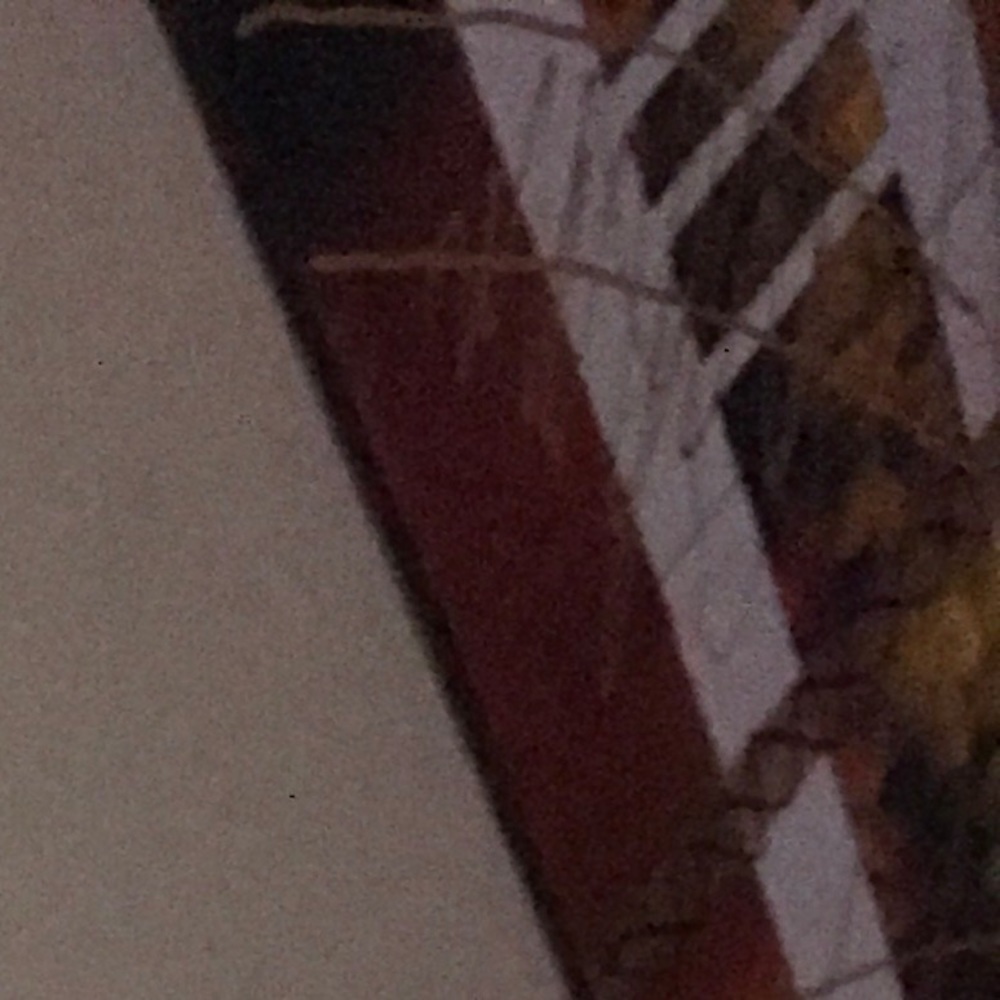 Meet your Posher, Lisa